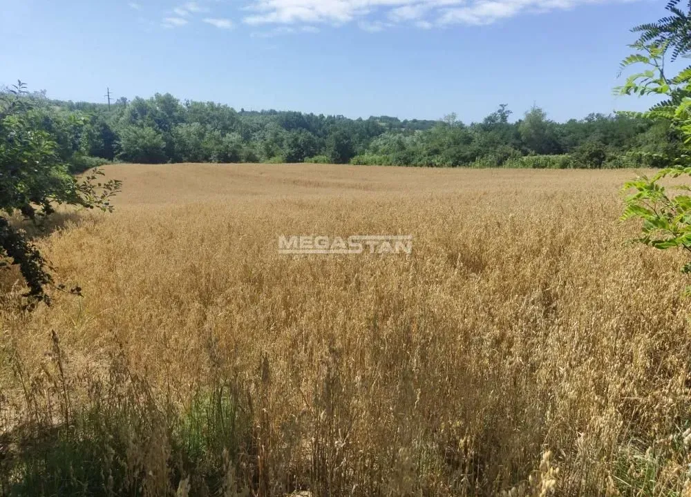 Prodaja, plac, 6745m², Šiljakovac, Barajevo