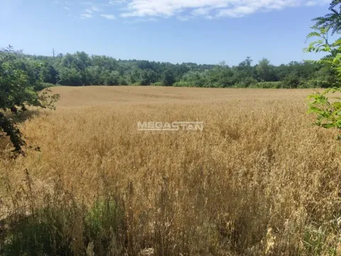 Prodaja, plac, 6745m², Šiljakovac, Barajevo - image 1