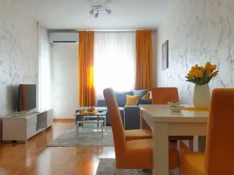 Izdavanje, jednosoban stan, 45m², Zagorič, Podgorica - image 2