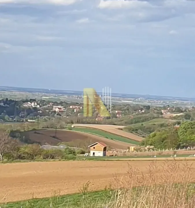 Sale, land lot, 2500m², Novi Sad, Srbija