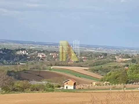 Prodaja, plac, 2500m², Novi Sad, Srbija - image 1