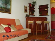 Izdavanje, dvosoban stan, 40m², Grbavica, Novi Sad Sve Podlokacije - image 3