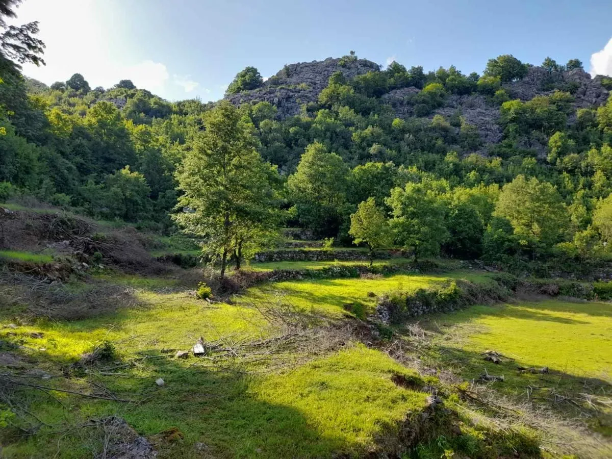 Prodaja, plac, 240000m², Štitari, Cetinje