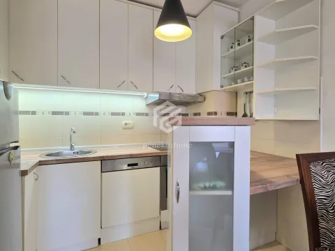 Izdavanje, jednosoban stan, 45m², Stari Aerodrom, Podgorica - image 7