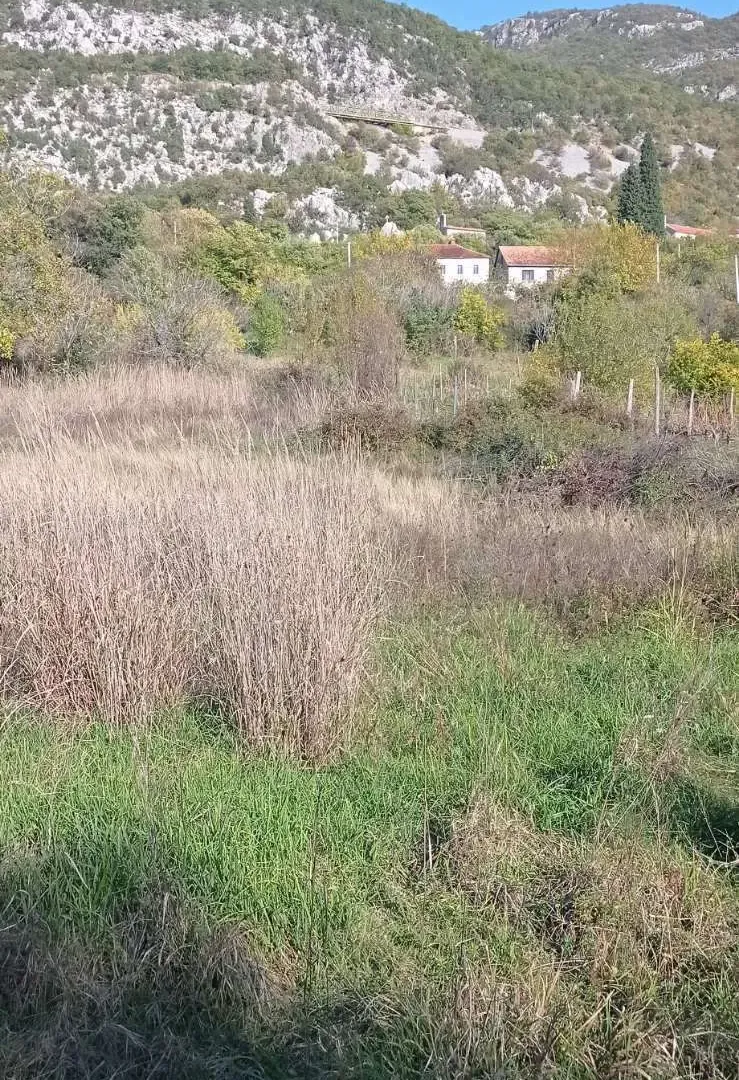 Prodaja, plac, 9142m², Danilovgrad, Crna Gora