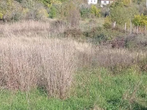 Prodaja, plac, 9142m², Danilovgrad, Crna Gora - image 2