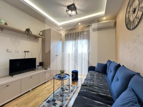 Rent, studio apartment, 20m², Zabjelo, Podgorica - image 2
