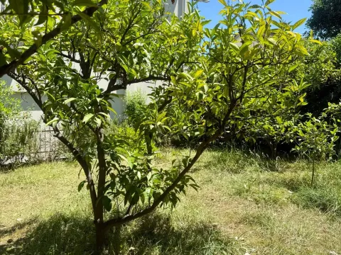 Sale, house, 166m², Babin Do, Budva - image 18