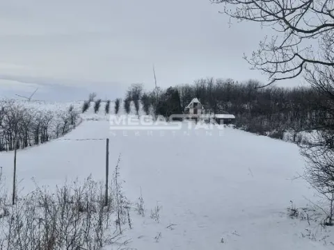 Prodaja, plac, 10700m², Alibunar, Srbija - image 1