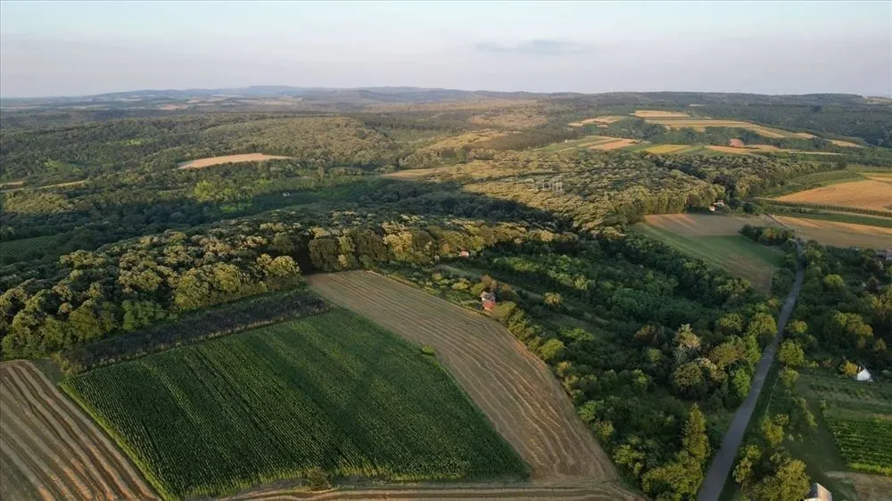Prodaja, kuća, 62m², Bačka Palanka, Novi Sad