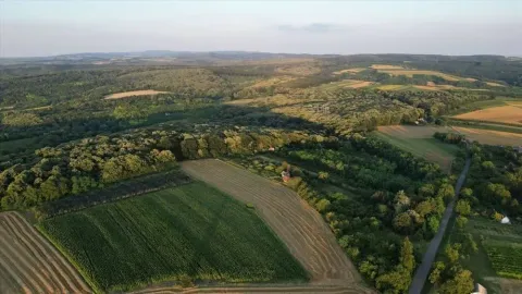 Prodaja, kuća, 62m², Bačka Palanka, Novi Sad - image 15