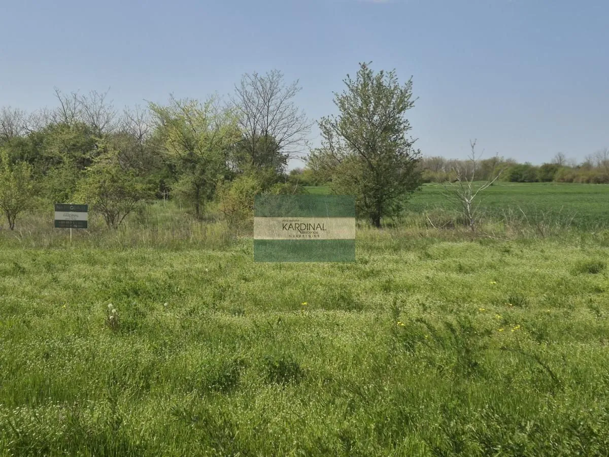 Prodaja, plac, 2273m², Vinorača, Jagodina