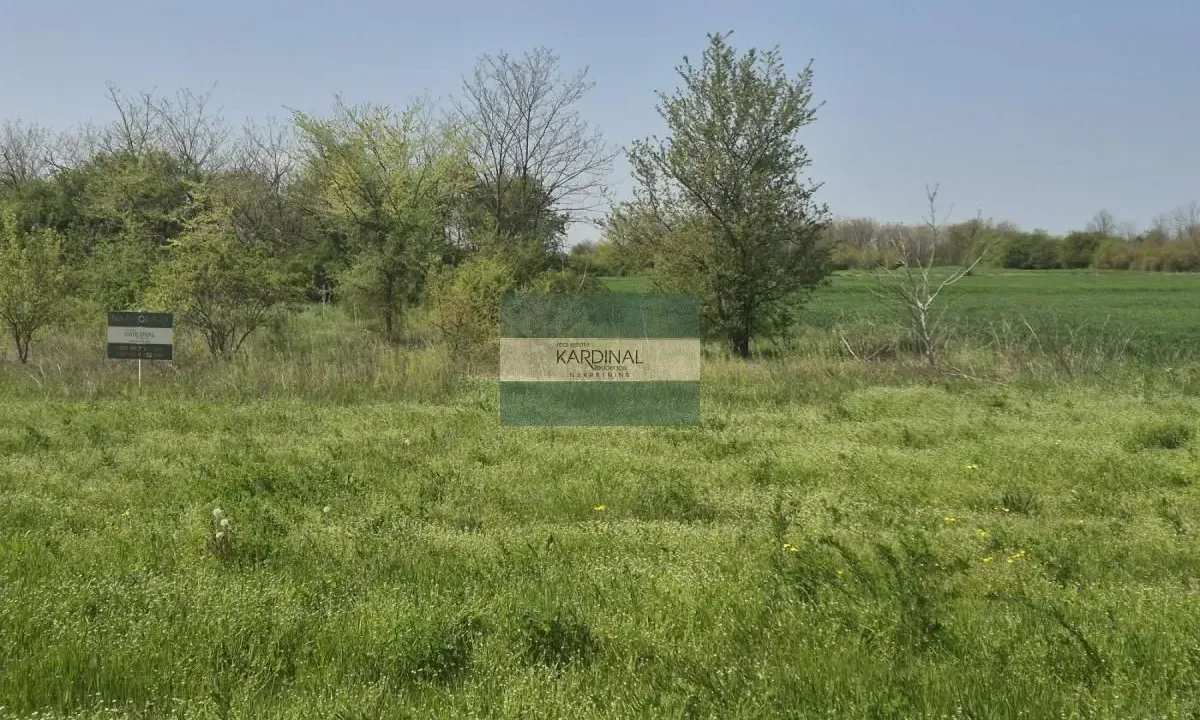 Prodaja, plac, 2273m², Vinorača, Jagodina