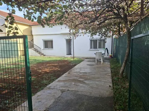 The yard of a family house with a paved path and trees. - image 5