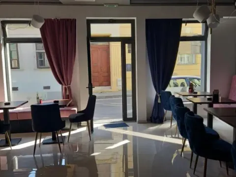 Izdavanje, ugostiteljski objekat, 226m², Sremski Karlovci, Novi Sad - image 5