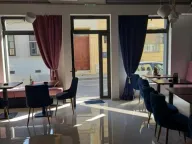 Izdavanje, ugostiteljski objekat, 226m², Sremski Karlovci, Novi Sad - image 5