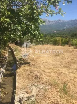 Prodaja, plac, 1567m², Šušanj, Bar - image 3
