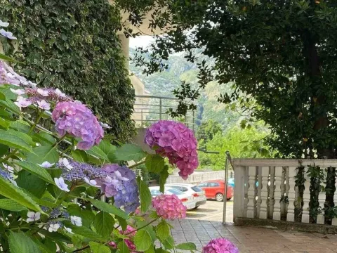 Izdavanje, dvosoban stan, 89m², Risan, Kotor - image 4