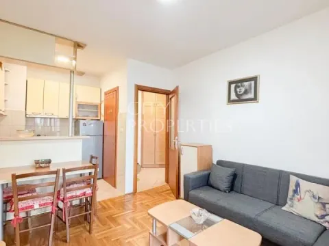 Izdavanje, stan, 40m², Stari Aerodrom, Podgorica - image 5