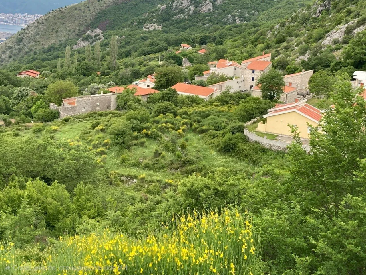 Prodaja, plac, 4657m², Kuljače, Budva