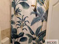 Rent, two bedroom apartment, 48m², Podbara, Novi Sad Sve Podlokacije - image 3