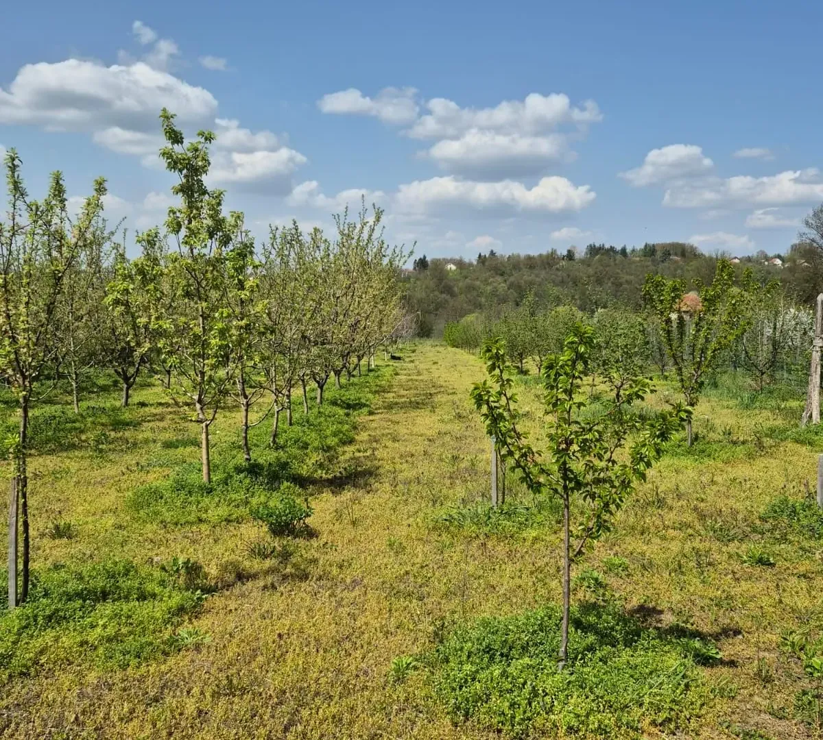 Prodaja, plac, 2950m², Voždovac Sve Podlokacije, Beograd