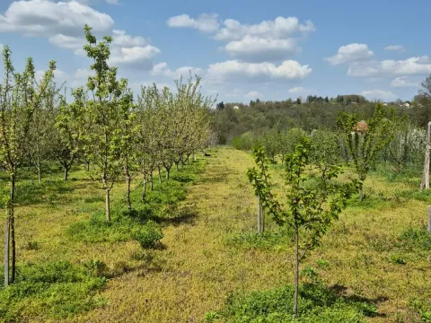 Prodaja, plac, 2950m², Voždovac Sve Podlokacije, Beograd - image 9