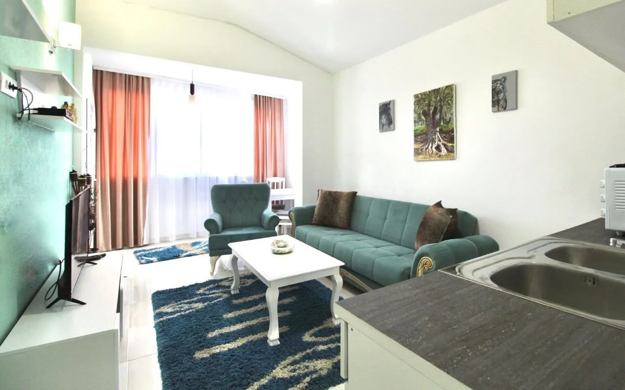 Living room with a sofa, coffee table, and a kitchen area in the corner.