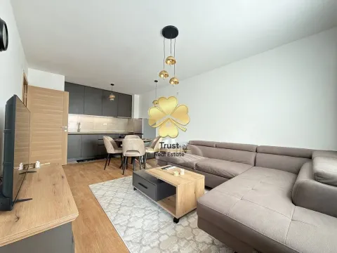 Izdavanje, jednosoban stan, 45m², Stari Aerodrom, Podgorica - image 2