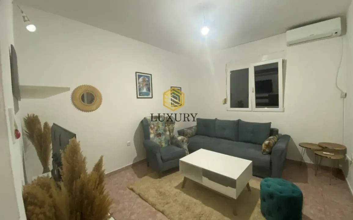 Rent, one bedroom apartment, 45m², Zagorič, Podgorica