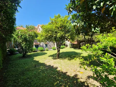 Green yard with trees in front of the house. - image 7
