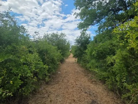 Prodaja, plac, 2150m², Parcani, Sopot - image 11