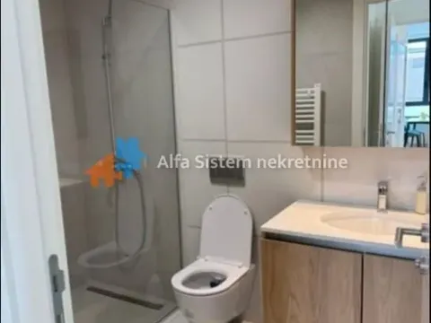 Izdavanje, trosoban stan, 77m², Savski Venac, Beograd - image 8