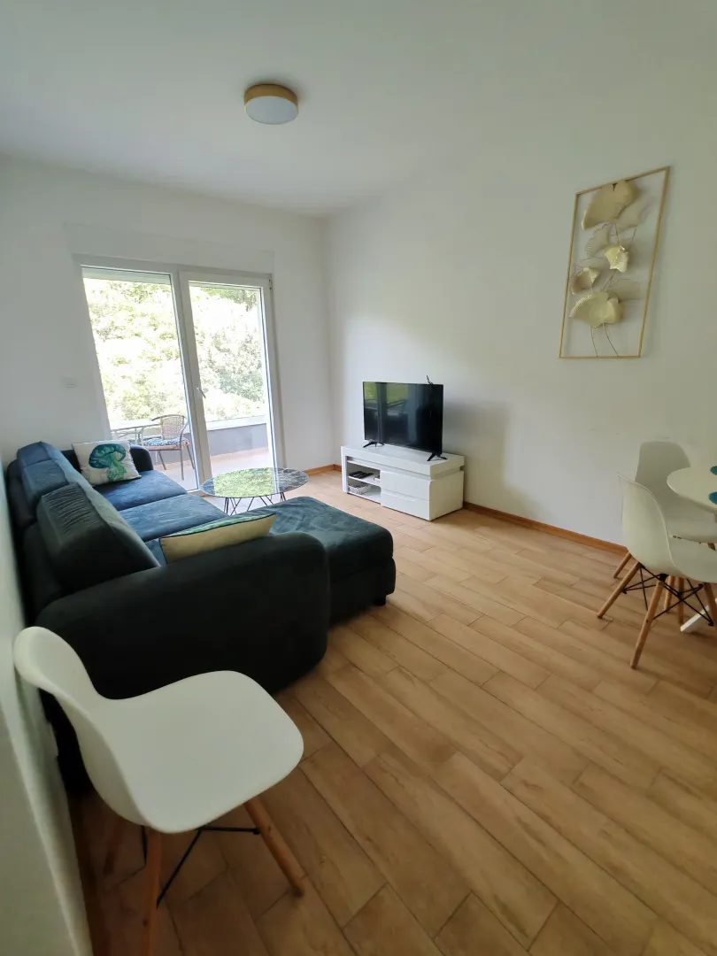 Living room with a sofa, TV, and dining table.