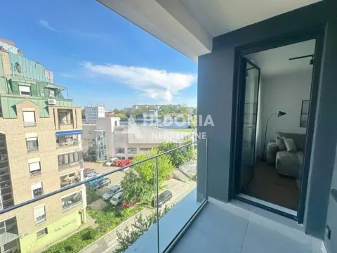 Izdavanje, dvosoban stan, 50m², Vračar Sve Podlokacije, Beograd - image 13