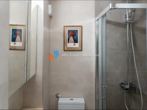 Izdavanje, dvosoban stan, 60m², Stari Grad, Beograd - image 28