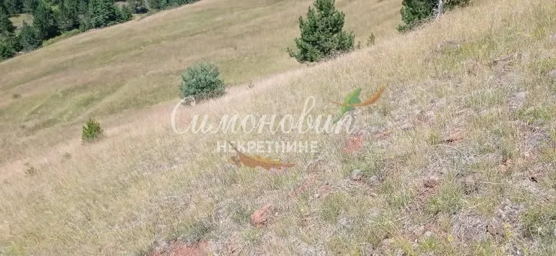 Prodaja, plac, 212100m², Divčibare, Valjevo