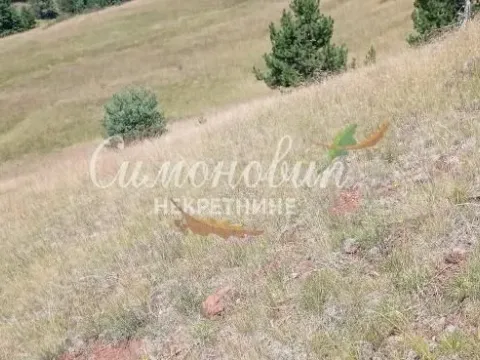 Sale, land lot, 212100m², Divčibare, Valjevo - image 10