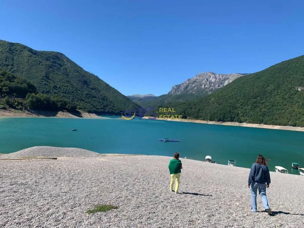 Prodaja, plac, 15000m², Plužine, Crna Gora