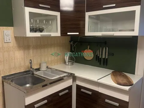 Izdavanje, dvosoban stan, 55m², Vračar Sve Podlokacije, Beograd - image 8