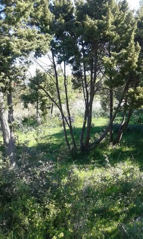 Prodaja, plac, 10390m², Ulcinj, Crna Gora