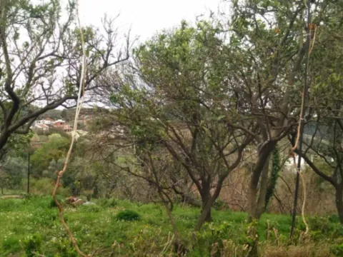 Sale, house, 90m², Zaljevo, Bar - image 2