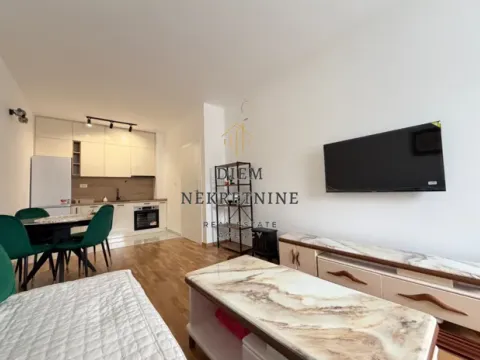 Rent, one bedroom apartment, 45m², Zagorič, Podgorica - image 7