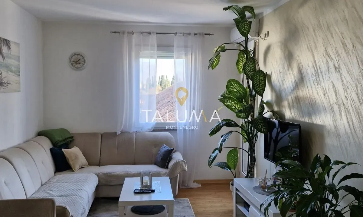Rent, one bedroom apartment, 40m², Zabjelo, Podgorica