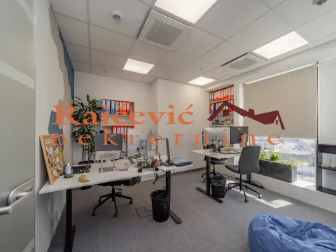 Izdavanje, poslovni prostor, 289m², Tašmajdan, Palilula Sve Podlokacije - image 11