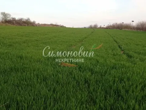 Sale, land lot, 6300m², Železnik, Beograd - image 5