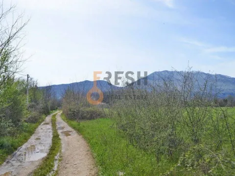 Prodaja, plac, 7628m², Danilovgrad, Crna Gora - image 9