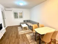 Izdavanje, jednosoban stan, 47m², Stari Aerodrom, Podgorica - image 4