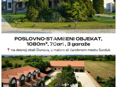 Poslovni prostor in Surduk