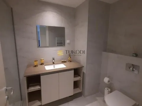 Izdavanje, dvosoban stan, 55m², Savski Venac, Beograd - image 8